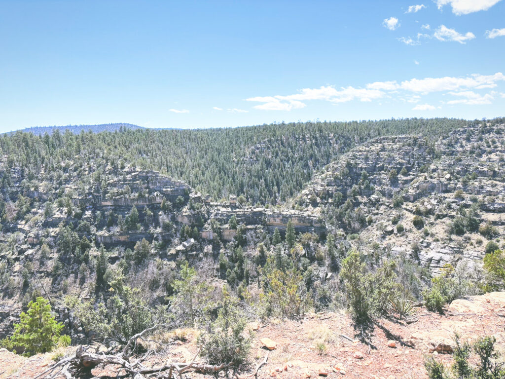 アメリカアリゾナ州ウォルナットキャニオン国定公園Walnut Canyon National Monument見どころ魅力トレイル・ハイキングモデルコース日本人観光
