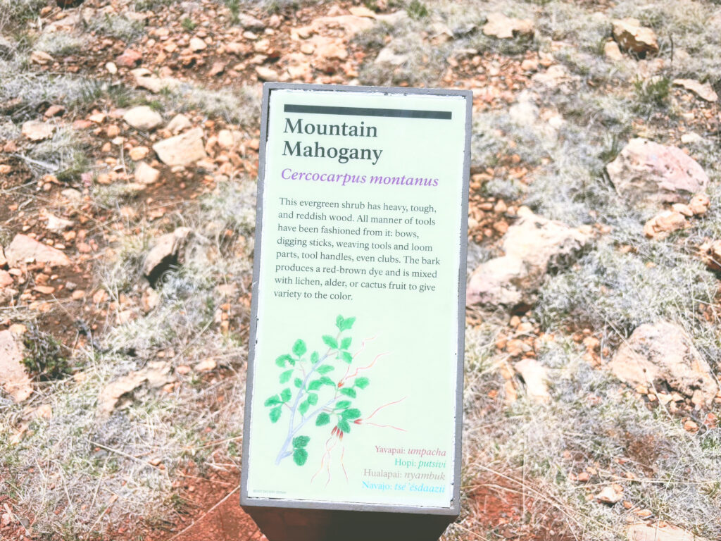 アメリカアリゾナ州ウォルナットキャニオン国定公園Walnut Canyon National Monument見どころ魅力トレイル・ハイキングモデルコース日本人観光