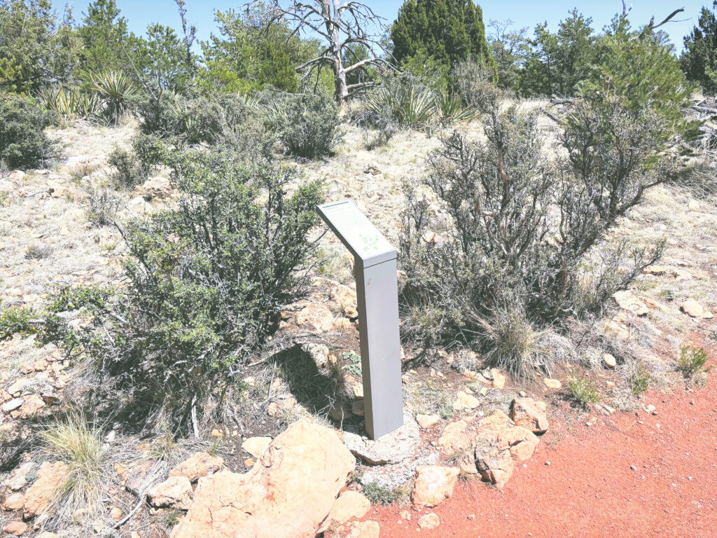 アメリカアリゾナ州ウォルナットキャニオン国定公園Walnut Canyon National Monument見どころ魅力トレイル・ハイキングモデルコース日本人観光
