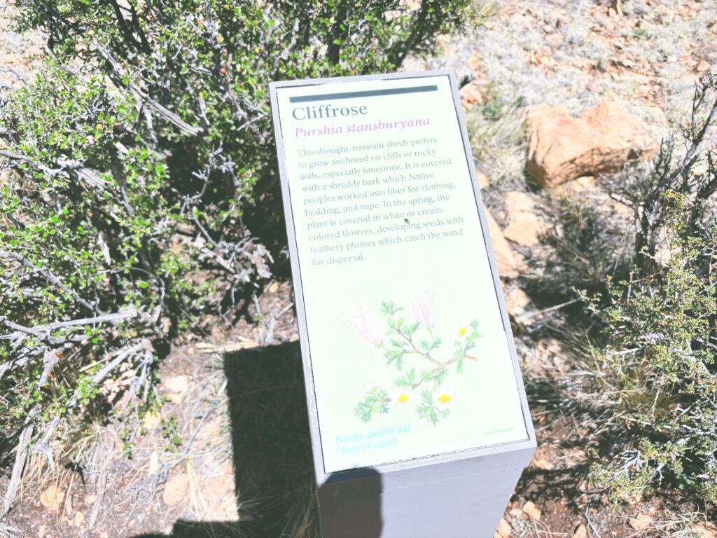 アメリカアリゾナ州ウォルナットキャニオン国定公園Walnut Canyon National Monument見どころ魅力トレイル・ハイキングモデルコース日本人観光