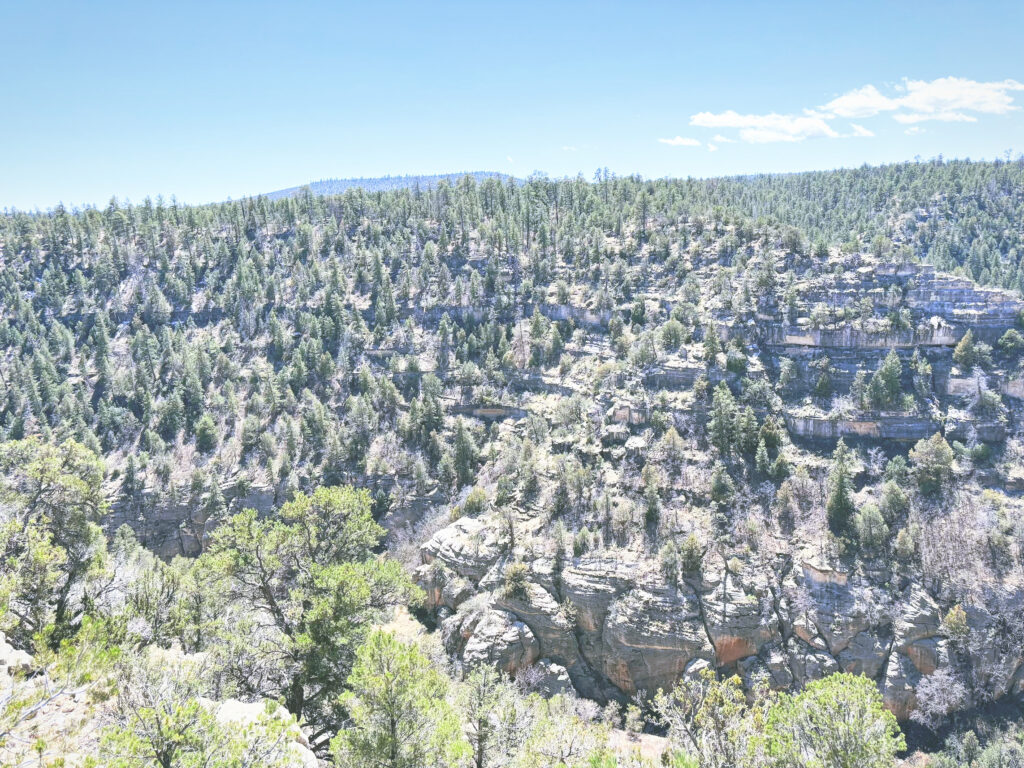 アメリカアリゾナ州ウォルナットキャニオン国定公園Walnut Canyon National Monument見どころ魅力トレイル・ハイキングモデルコース日本人観光
