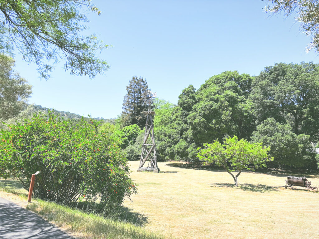 アメリカカリフォルニア州ジョンミューア国定史跡John Muir National Historic Site見どころ魅力トレイル・ハイキングモデルコース日本人観光