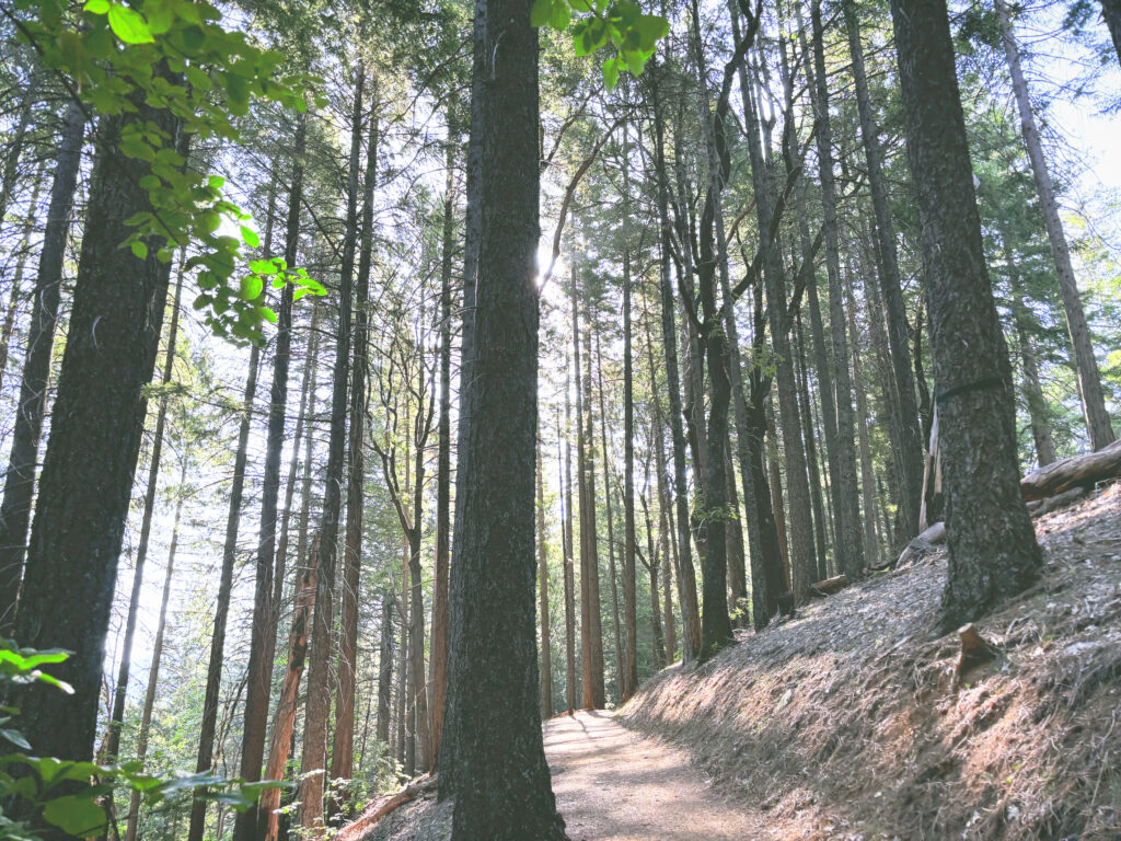 アメリカカリフォルニア州キャッスルクラッグス州立公園Castle Crags State Park見どころ魅力トレイル・ハイキングモデルコース日本人観光