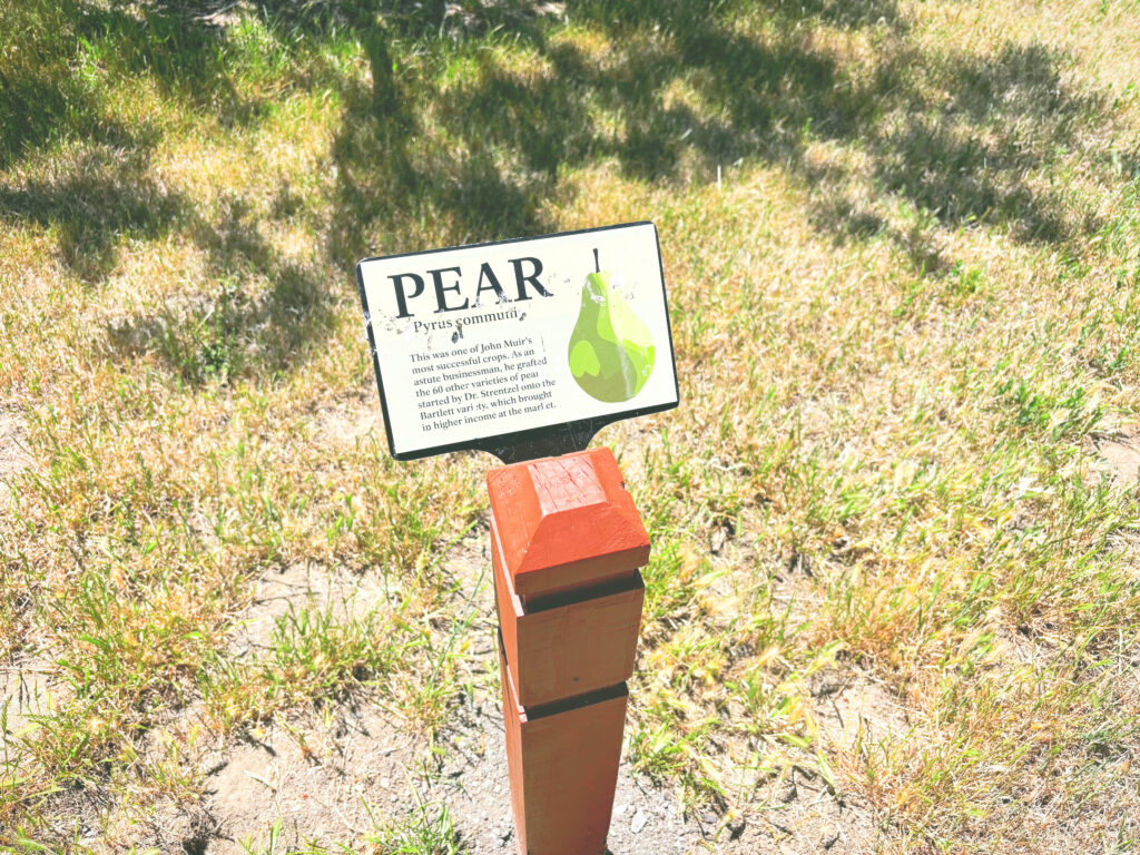 アメリカカリフォルニア州ジョンミューア国定史跡John Muir National Historic Site見どころ魅力トレイル・ハイキングモデルコース日本人観光