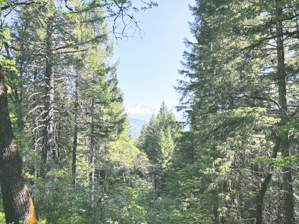 アメリカカリフォルニア州キャッスルクラッグス州立公園Castle Crags State Park見どころ魅力トレイル・ハイキングモデルコース日本人観光
