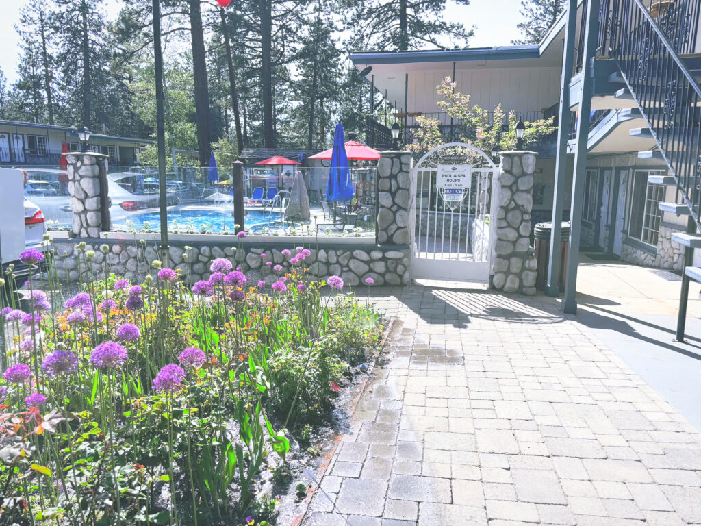 アメリカカリフォルニア州ドナーメモリアル州立公園Donner Memorial State Park見どころ魅力トレイル・ハイキングモデルコース日本人観光