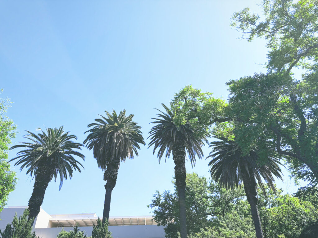 アメリカカリフォルニア州リーランドスタンフォードマンション州立歴史公園Leland Stanford Mansion State Historic Park見どころ魅力日本人観光