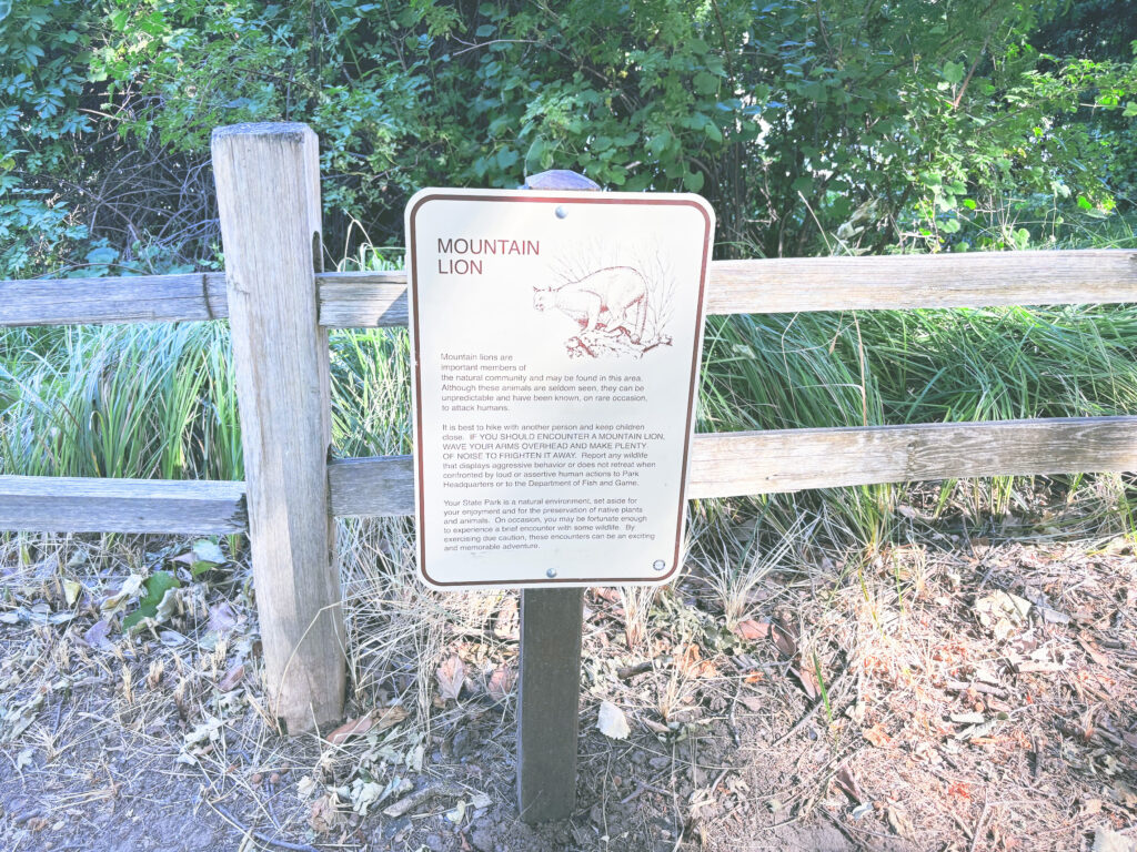 アメリカカリフォルニア州ウィリアムB.イデアドビ州立歴史公園William B. Ide Adobe State Park見どころ魅力日本人観光
