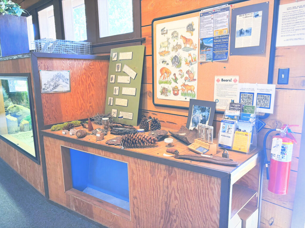 アメリカカリフォルニア州シュガーパインポイント州立公園Ed Z'berg Sugar Pine Point State Park見どころ魅力トレイル・ハイキングモデルコース日本人観光