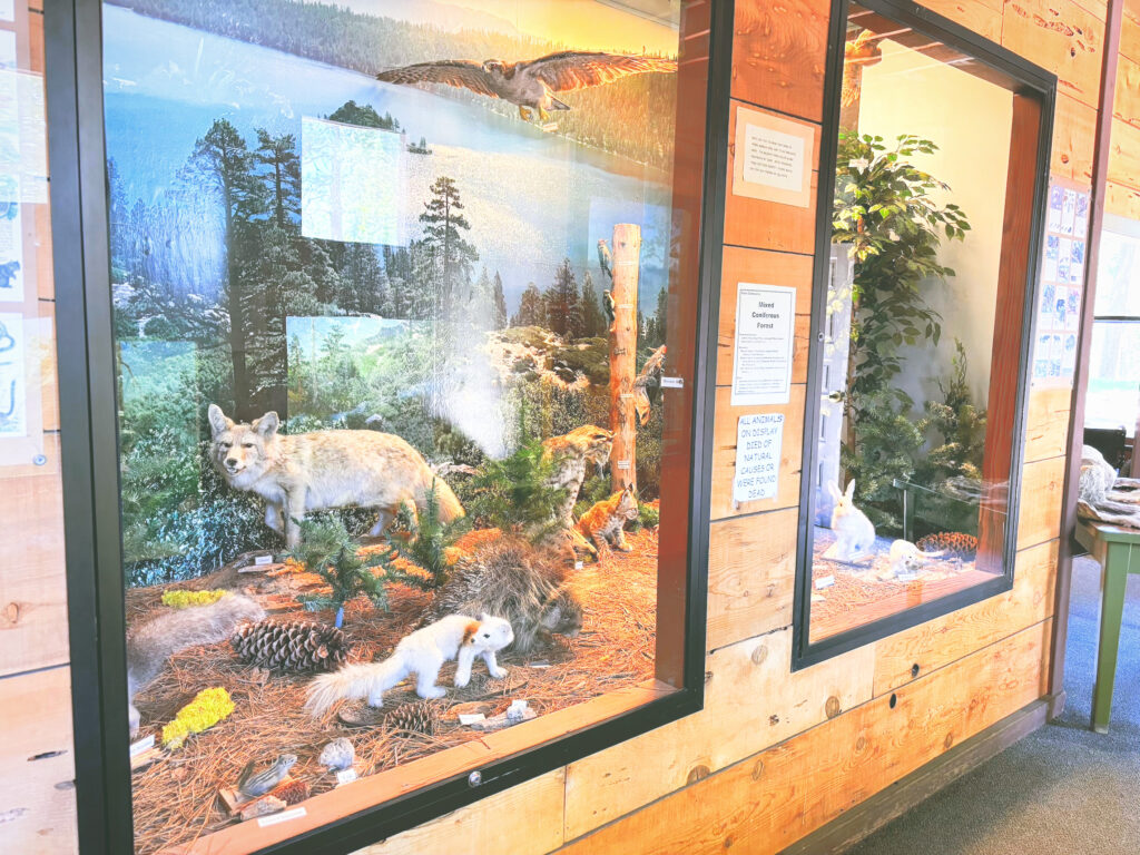 アメリカカリフォルニア州シュガーパインポイント州立公園Ed Z'berg Sugar Pine Point State Park見どころ魅力トレイル・ハイキングモデルコース日本人観光