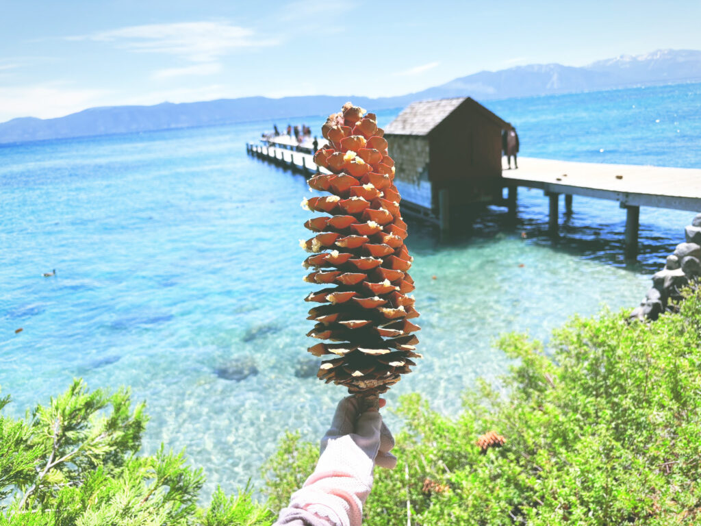 アメリカカリフォルニア州シュガーパインポイント州立公園Ed Z'berg Sugar Pine Point State Park見どころ魅力トレイル・ハイキングモデルコース日本人観光