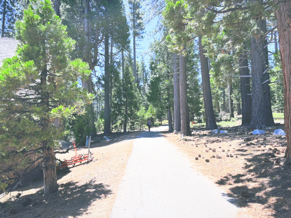 アメリカカリフォルニア州シュガーパインポイント州立公園Ed Z'berg Sugar Pine Point State Park見どころ魅力トレイル・ハイキングモデルコース日本人観光