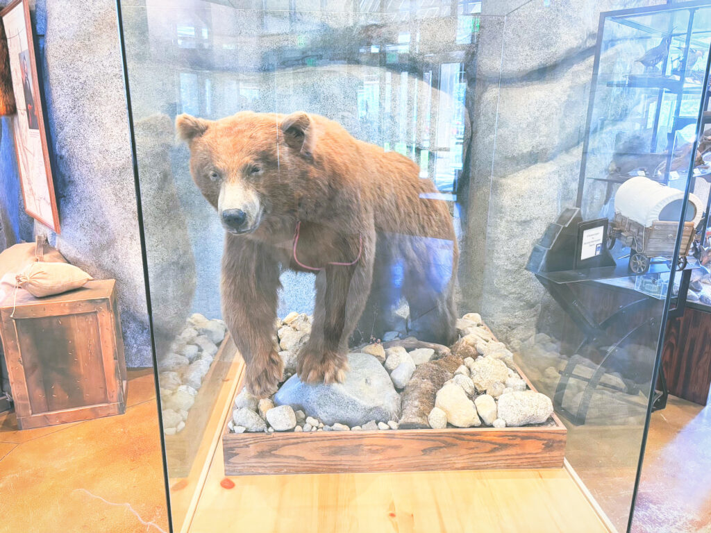 アメリカカリフォルニア州ドナーメモリアル州立公園Donner Memorial State Park見どころ魅力トレイル・ハイキングモデルコース日本人観光