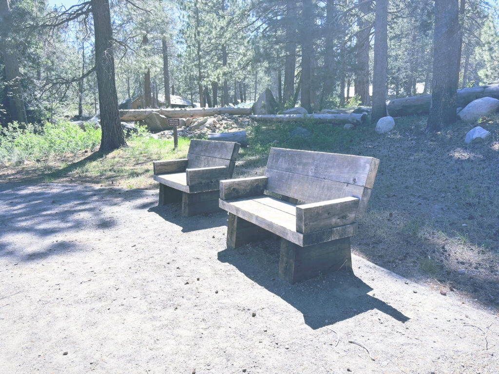アメリカカリフォルニア州ドナーメモリアル州立公園Donner Memorial State Park見どころ魅力トレイル・ハイキングモデルコース日本人観光