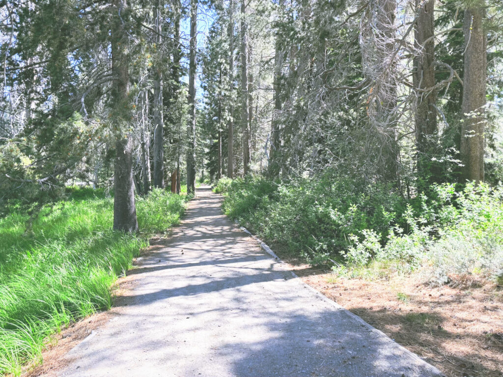 アメリカカリフォルニア州ドナーメモリアル州立公園Donner Memorial State Park見どころ魅力トレイル・ハイキングモデルコース日本人観光