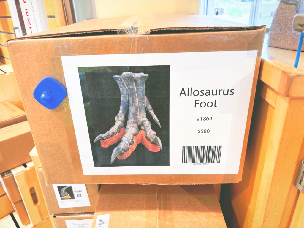 アメリカコロラド州ユタ州ダイナソー国定公園Dinosaur National Monument見どころ魅力トレイル・ハイキングモデルコース日本人観光