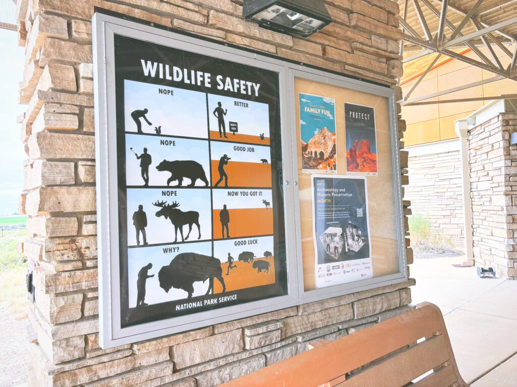 アメリカコロラド州ユタ州ダイナソー国定公園Dinosaur National Monument見どころ魅力トレイル・ハイキングモデルコース日本人観光