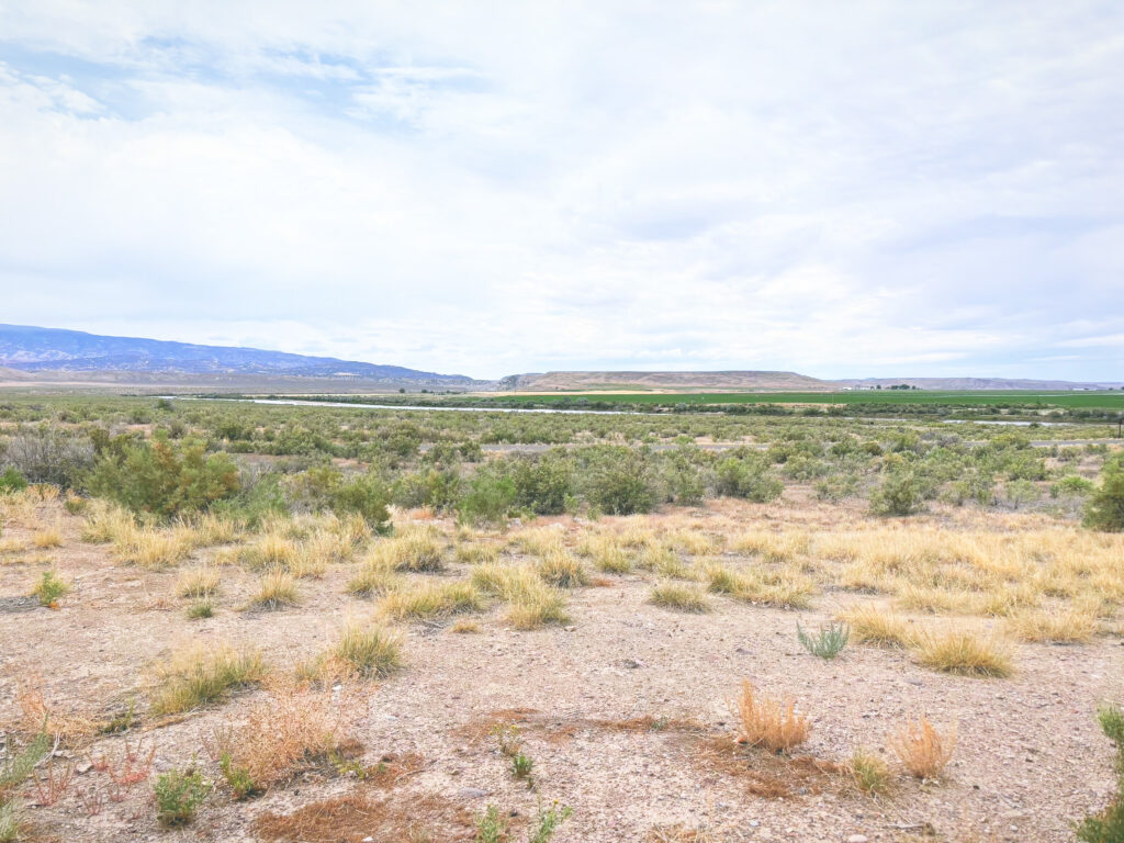 アメリカコロラド州ユタ州ダイナソー国定公園Dinosaur National Monument見どころ魅力トレイル・ハイキングモデルコース日本人観光