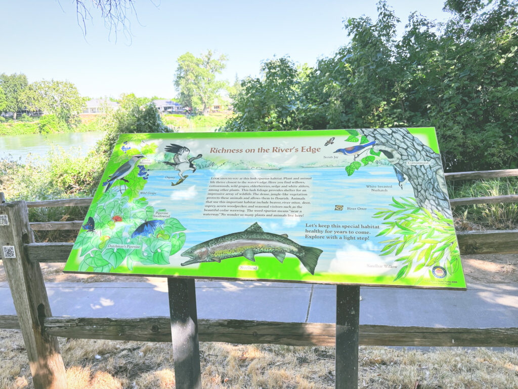 アメリカカリフォルニア州ウィリアムB.イデアドビ州立歴史公園William B. Ide Adobe State Park見どころ魅力日本人観光