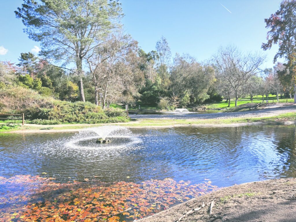 アメリカカリフォルニア州サンディギート郡立公園San Dieguito County Park見どころ魅力トレイル・ハイキングモデルコース日本人観光